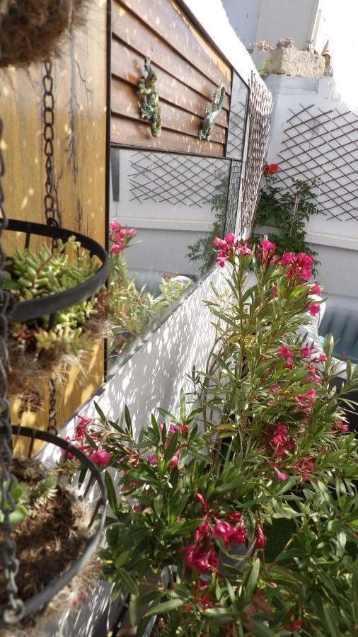 Bed and Breakfast Le Petit Patio Aigues-Mortes Exterior foto