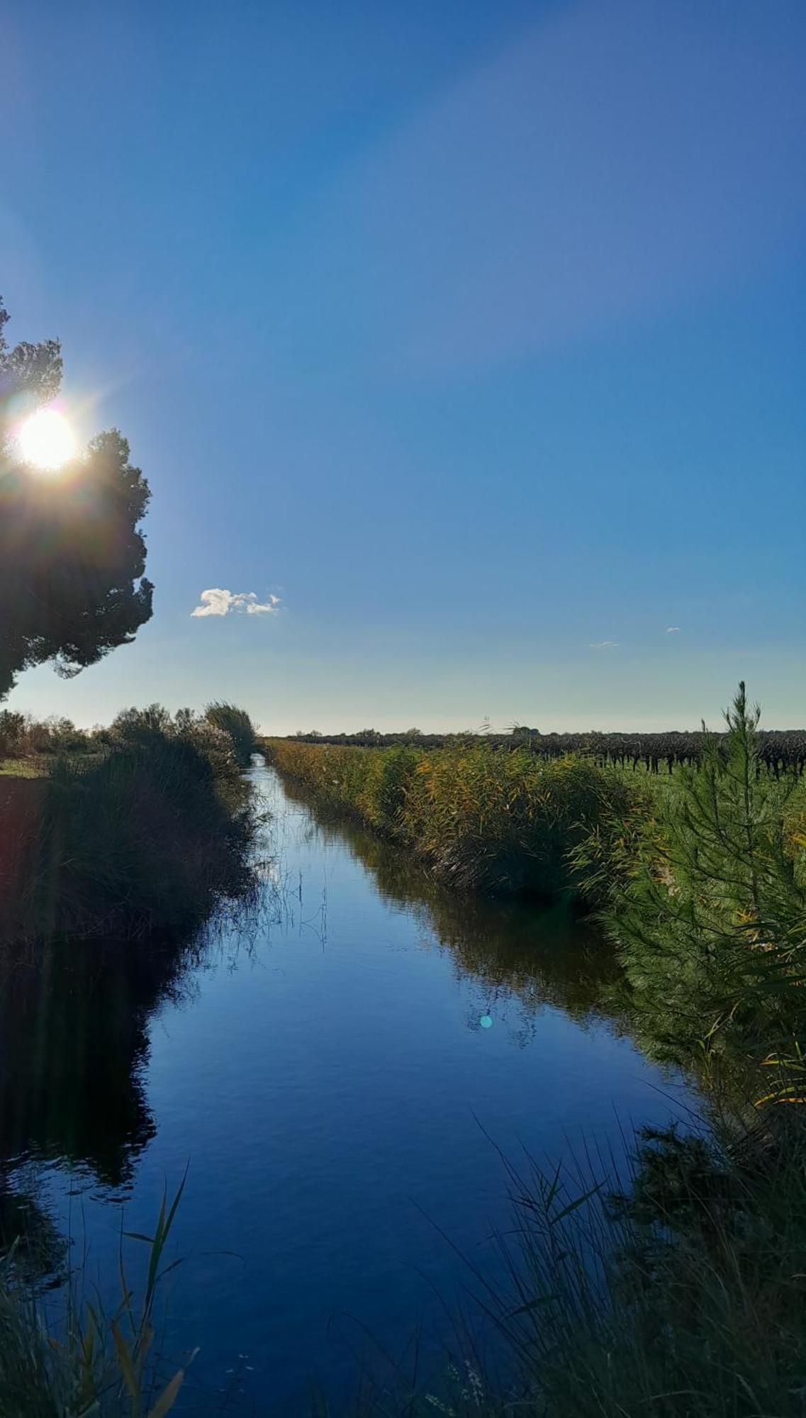 Bed and Breakfast Le Petit Patio Aigues-Mortes Exterior foto
