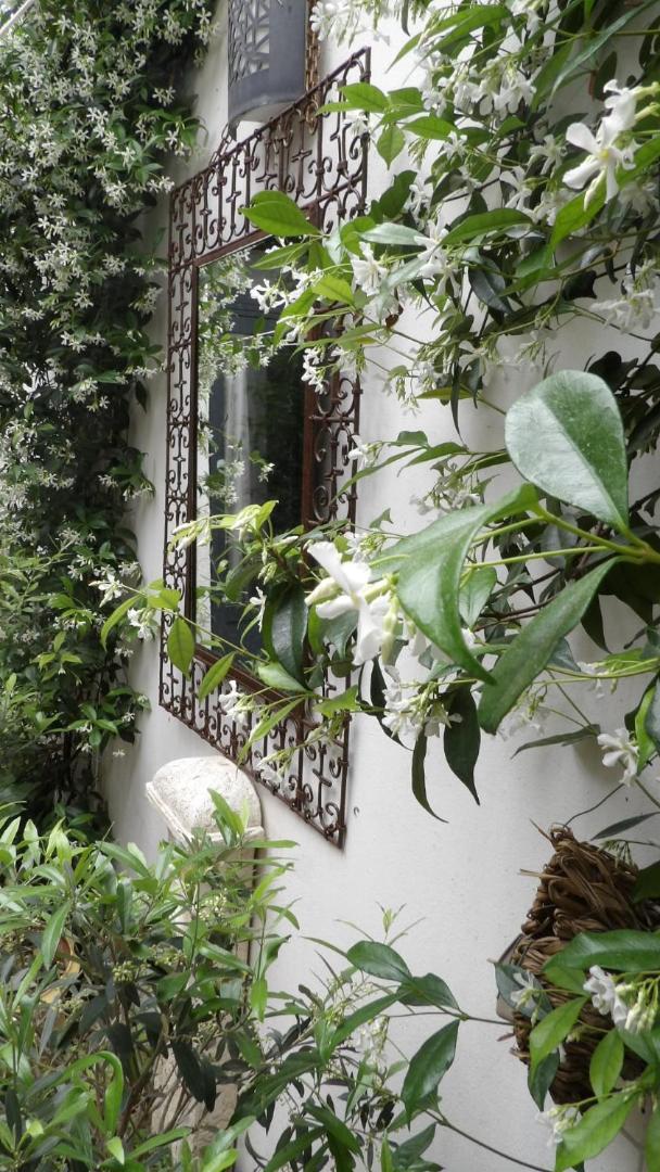 Bed and Breakfast Le Petit Patio Aigues-Mortes Exterior foto