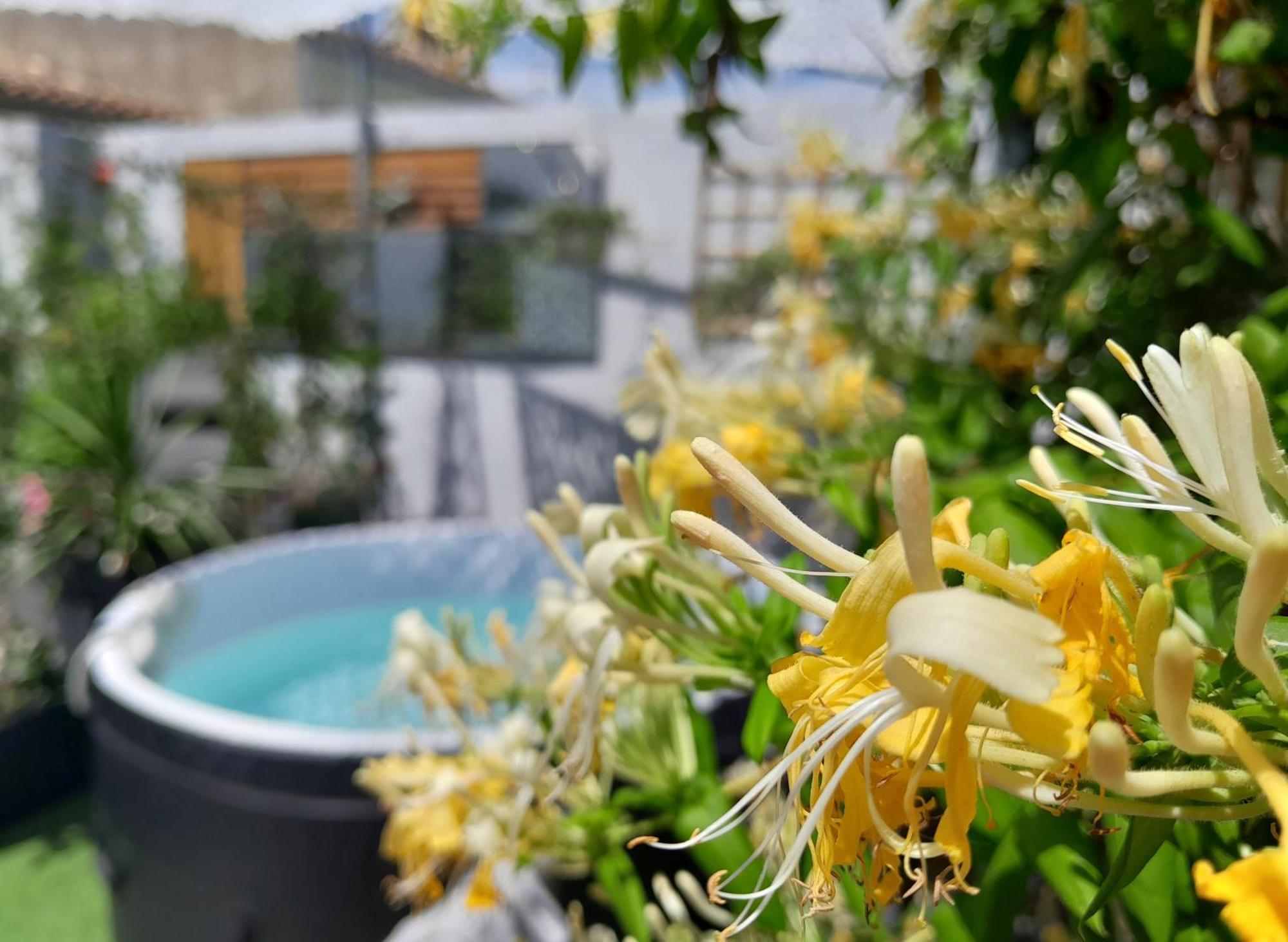Bed and Breakfast Le Petit Patio Aigues-Mortes Exterior foto