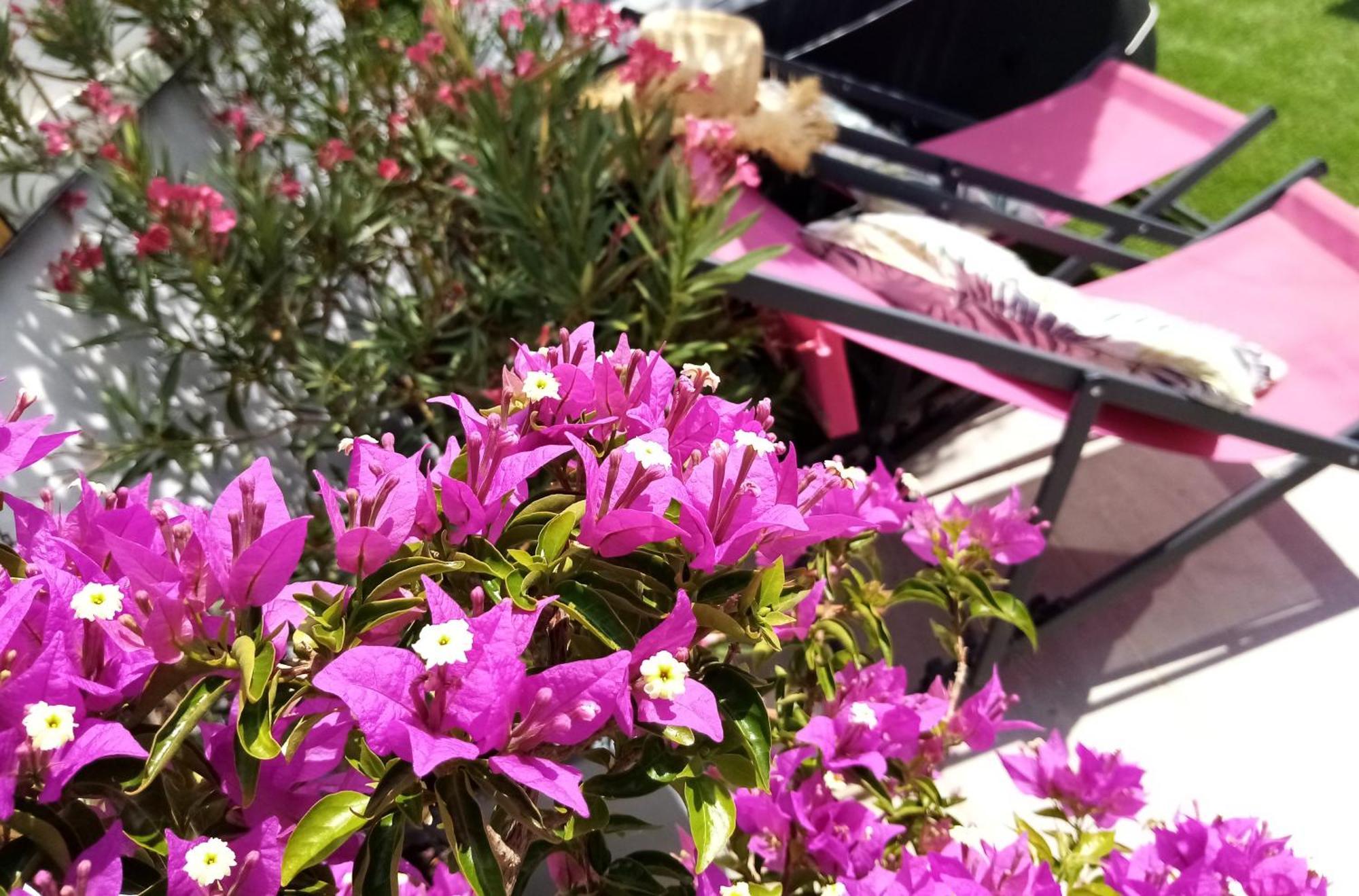 Bed and Breakfast Le Petit Patio Aigues-Mortes Exterior foto