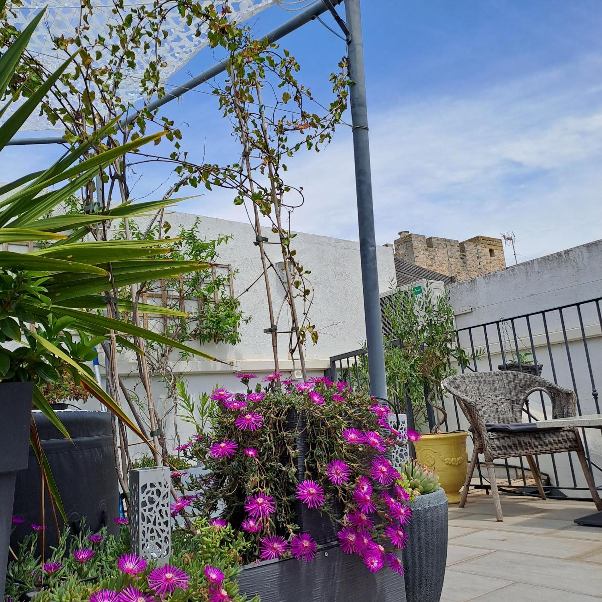 Bed and Breakfast Le Petit Patio Aigues-Mortes Exterior foto