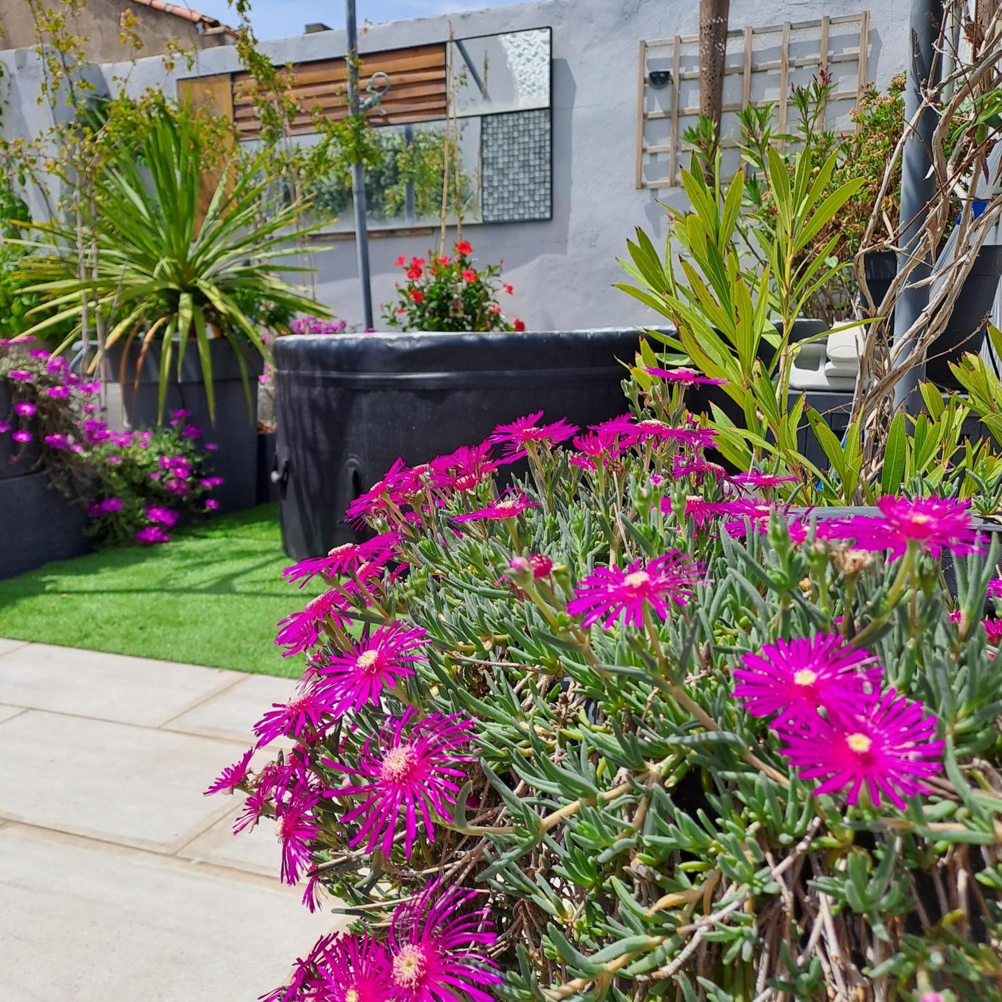 Bed and Breakfast Le Petit Patio Aigues-Mortes Exterior foto
